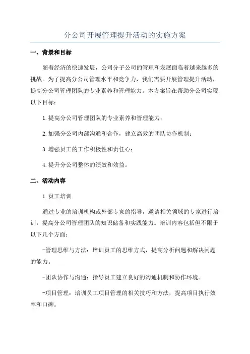 分公司开展管理提升活动的实施方案