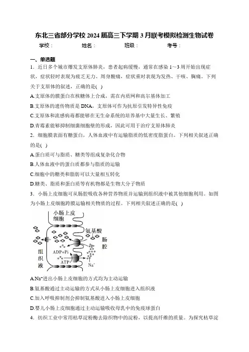 东北三省部分学校2024届高三下学期3月联考模拟检测生物试卷(含答案)