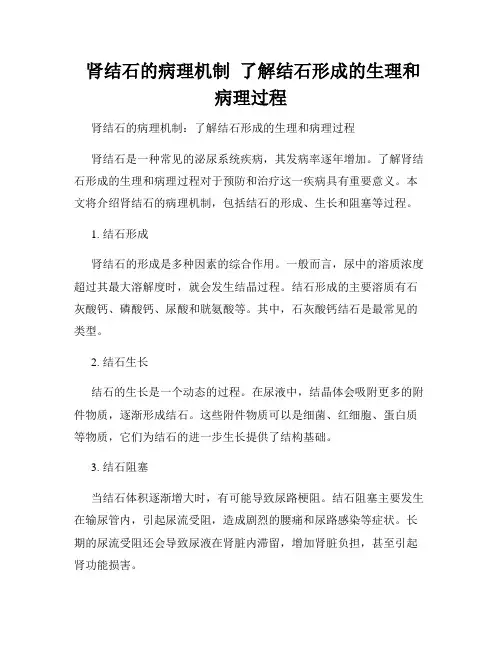  肾结石的病理机制  了解结石形成的生理和病理过程