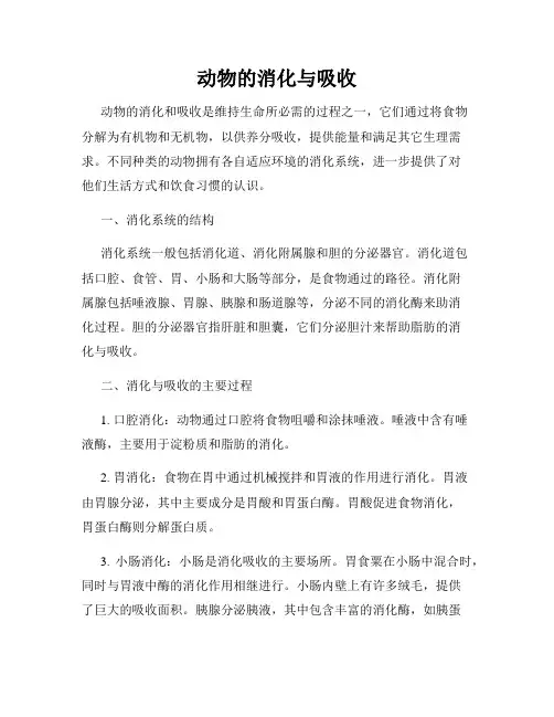动物的消化与吸收