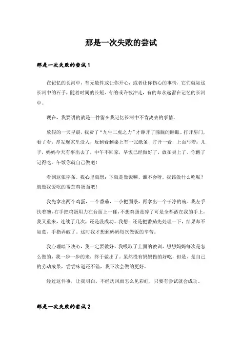 实用文_那是一次失败的尝试