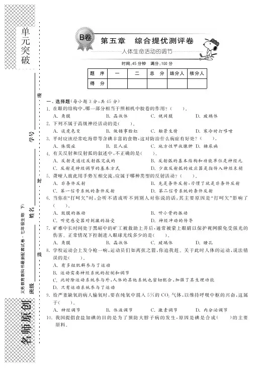 七年级生物下册 第五章 人体生命活动的调节单元综合检测题(B卷)(pdf) 济南版