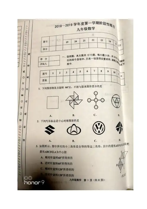 天津市宝坻区2019届九年级上学期期中考试数学试题(图片版)