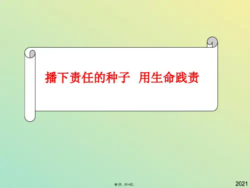 政治九年级人民版第五课这是我的责任课件(与“责任”有关文档共14张)