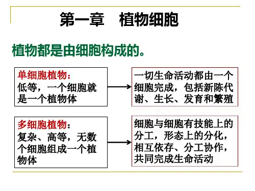 植物细胞总论