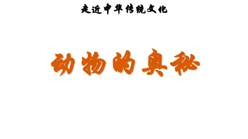 一年级上册语文精品课件传统文化鉴赏：动物的奥秘∣人教ppt(部编版)(19张)精品课件