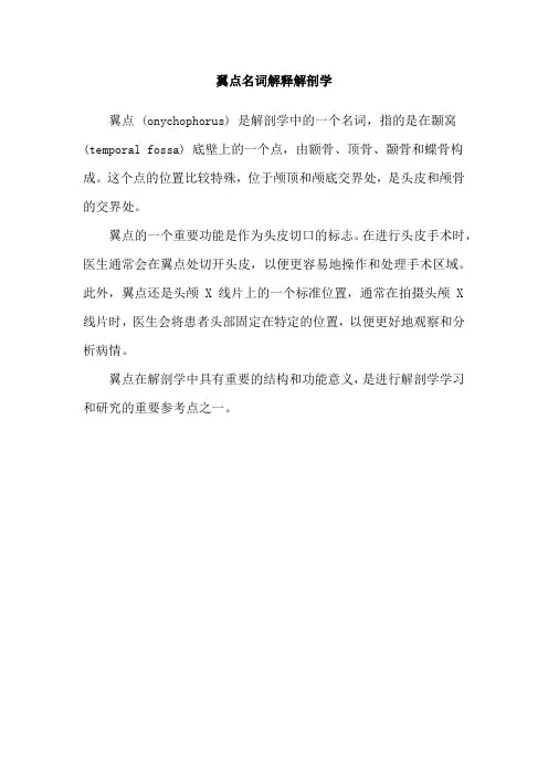 翼点名词解释解剖学