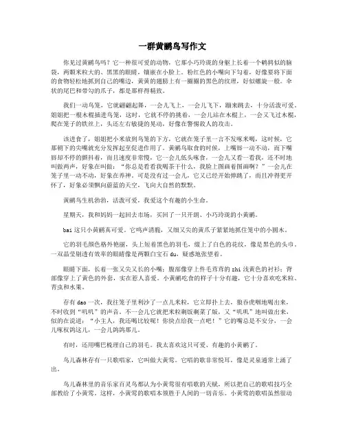 一群黄鹂鸟写作文