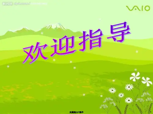 与挫折同行ppt课件