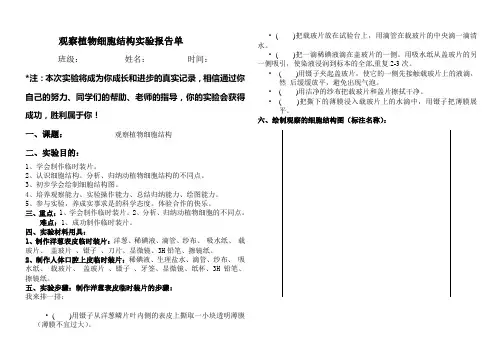 绿叶在阳光下制造有机物报告单