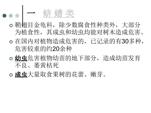 林木地下病虫害控制
