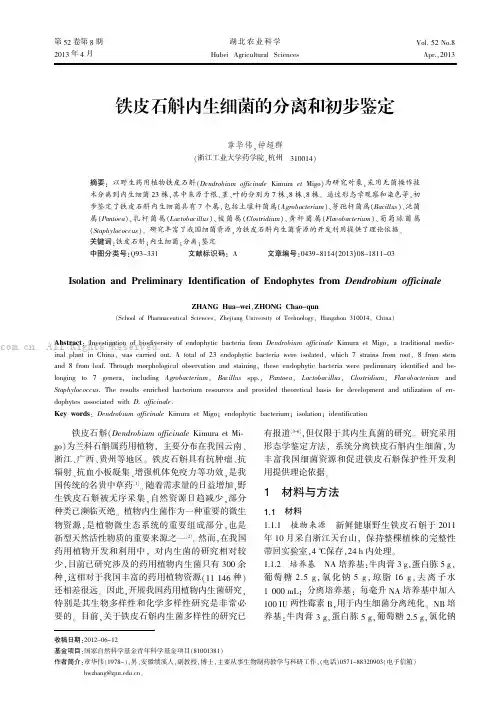 铁皮石斛内生细菌的分离和初步鉴定