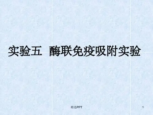 《实验四ELISA》PPT课件