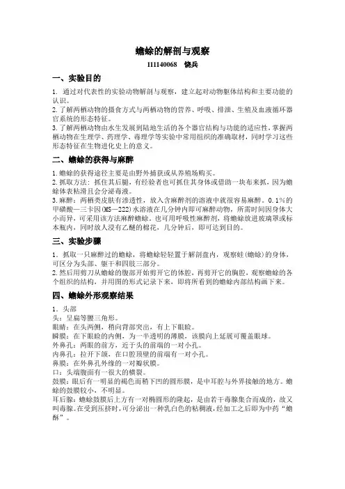 蟾蜍的解剖与观察