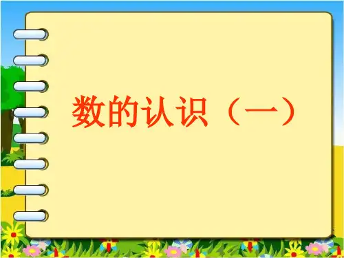 人教版六年级下册数学《(1)数与代数 数的认识》课件