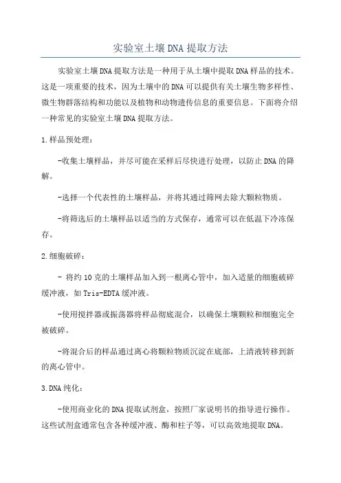 实验室土壤DNA提取方法