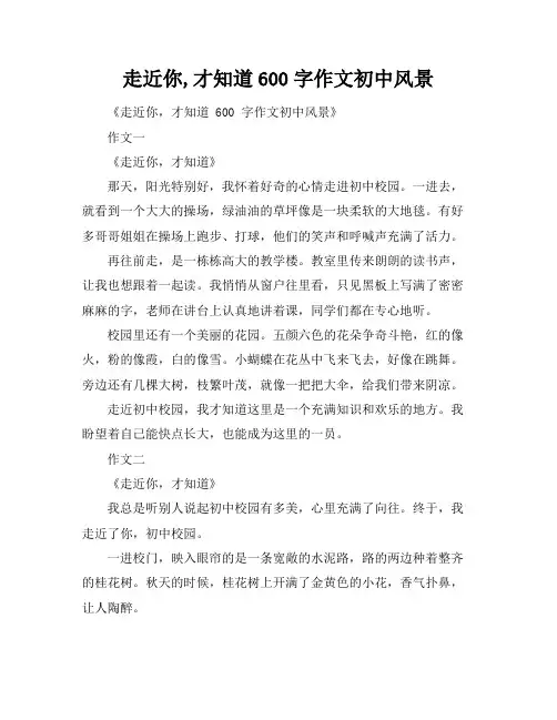 走近你,才知道600字作文初中风景