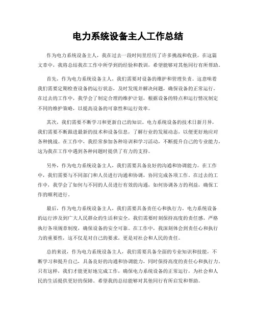 电力系统设备主人工作总结
