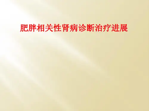 肥胖相关性肾病诊断治疗进展