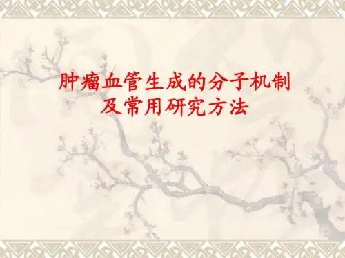血管生成的分子机制