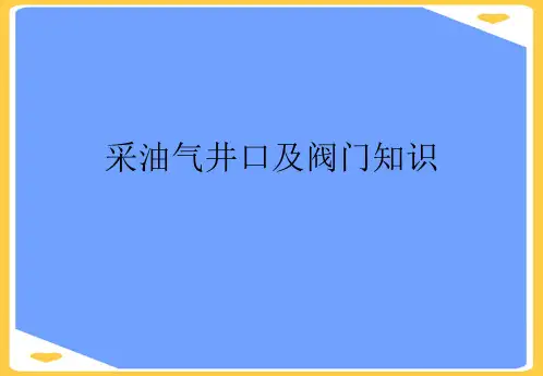 采油气井口及阀门知识.正式版PPT文档