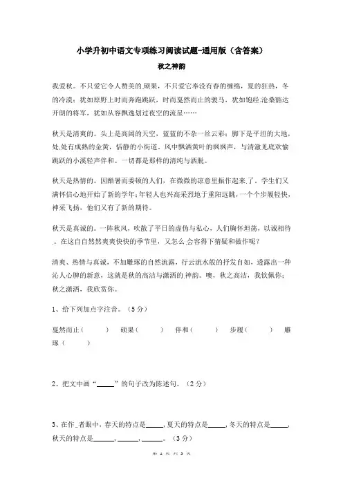小学升初中语文专项练习阅读试题-通用版(含答案)