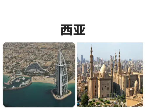 高考一轮复习世界地理亚洲—西亚课件