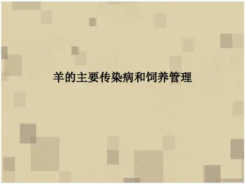 羊的主要传染病和饲养管理