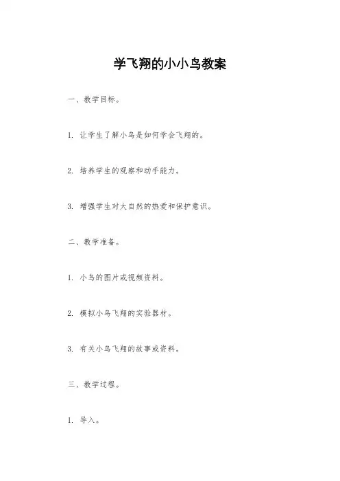 学飞翔的小小鸟教案