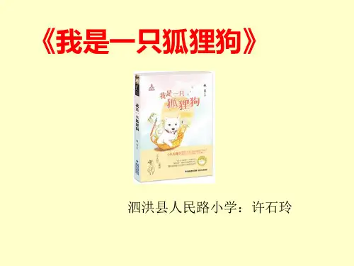 《我是一只狐狸狗》2课时