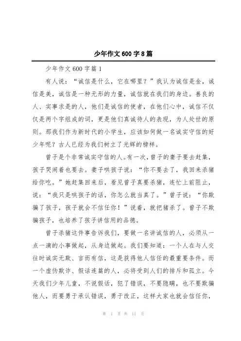 少年作文600字8篇