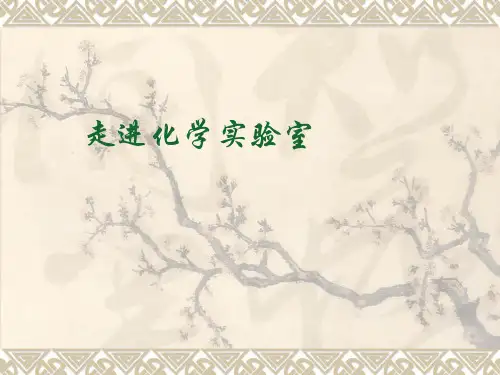 鲁教版初中化学九上 1.3  到实验室去--走进化学实验室  课件 