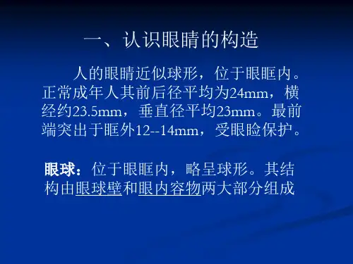 眼科基础知识课件
