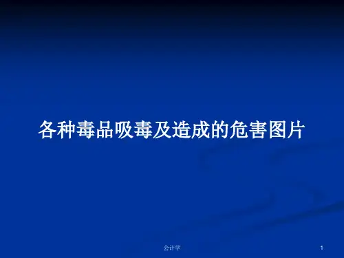 各种毒品吸毒及造成的危害图片PPT学习教案