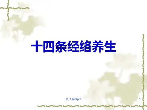 十四条经络养生ppt课件