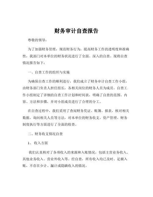 财务审计自查报告