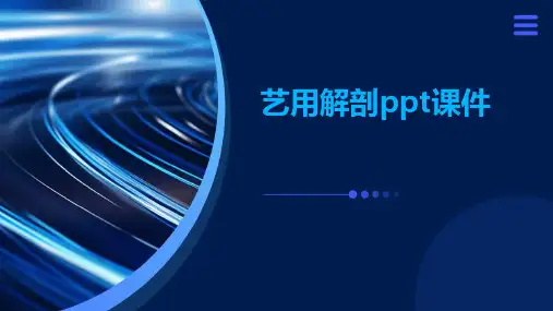 艺用解剖PPT课件
