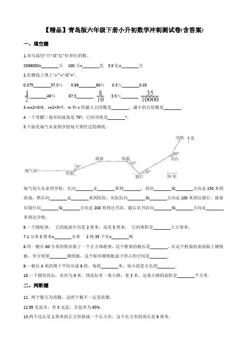 青岛版六年级下小升初数学测试卷(含答案)【精品】