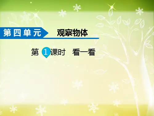 精品新北师大版四年级数学下册《第1课时  看一看》教学课件ppt