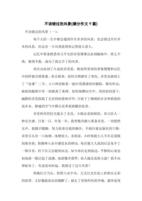 不该错过的风景(满分作文9篇)