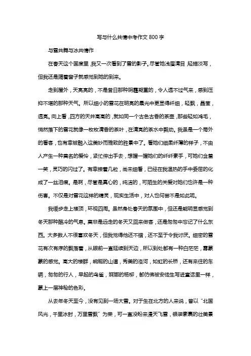 写与什么共情中考作文800字