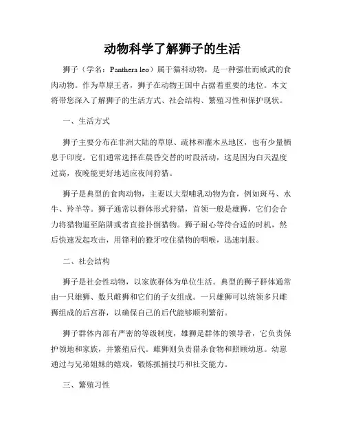 动物科学了解狮子的生活