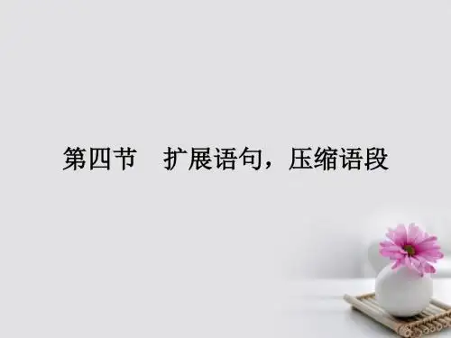 新课标2018届高考第一轮总复习扩展语句压缩语段课件(语文)