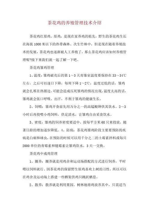 茶花鸡的养殖管理技术介绍