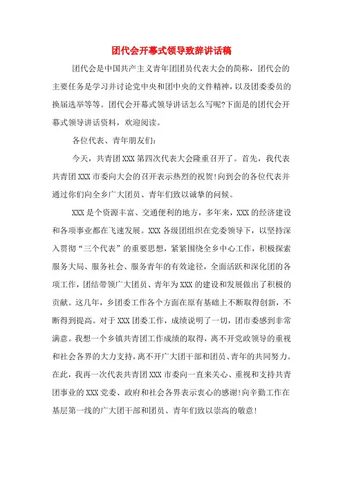 团代会开幕式领导致辞讲话稿