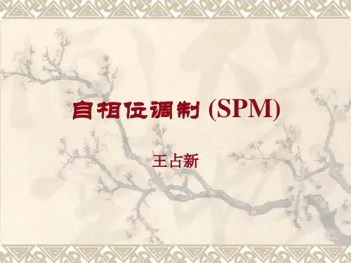 自相位调制