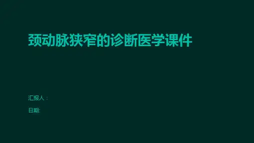 颈动脉狭窄的诊断医学课件