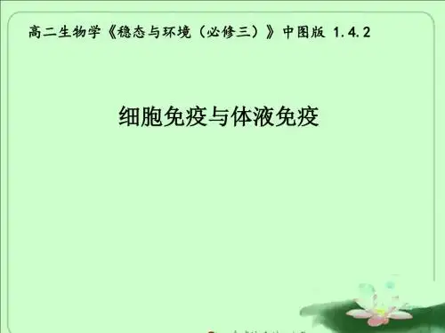 中图版高中生物必修3第一单元第四章《细胞免疫与体液免疫》课件课件