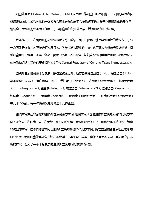 细胞外基质