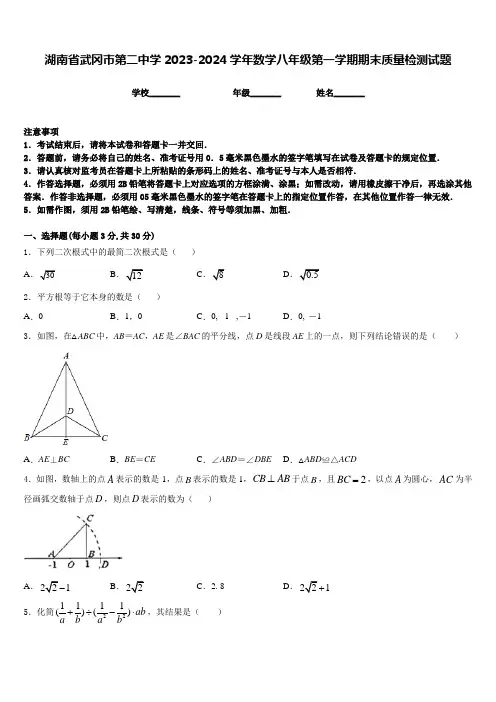 湖南省武冈市第二中学2023-2024学年数学八年级第一学期期末质量检测试题含答案